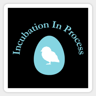 Incubation In Process, Pregnancy Announcement, Funny, Cute< Gender Reveal Design Sticker